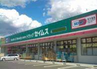 ドラックストア　ドラッグセイムス堀の内店（ドラッグストア）まで546m