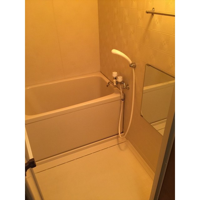 バス・シャワールーム　浴室の様子