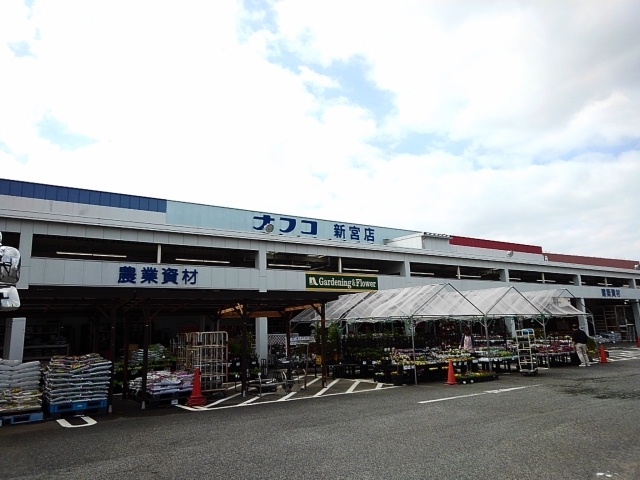 ホームセンター　ナフコ新宮店（ホームセンター）まで1100m