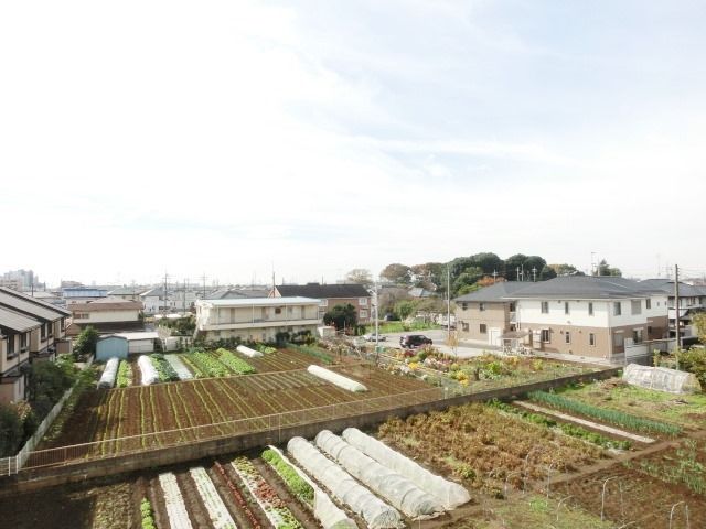 眺望　２階からの景色。