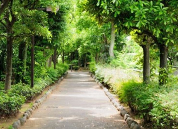 公園　洲崎川緑道公園（公園）まで227m