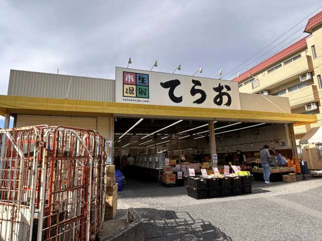 スーパー　生鮮市場てらお（スーパー）まで295m