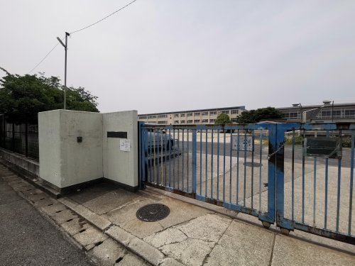 小学校　堺市立宮園小学校（小学校）まで353m