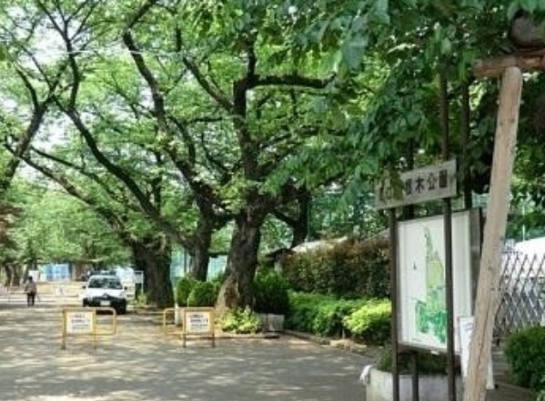 公園　羽根木小緑地（公園）まで509m