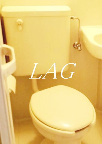 トイレ　トイレです。