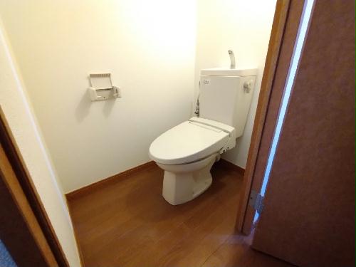 トイレ　温水便座設置