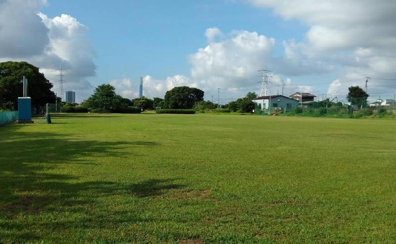 公園　八潮南公園運動広場（公園）まで300m