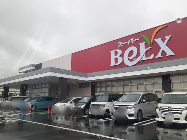 スーパー　ベルクス杉戸店（スーパー）まで1100m