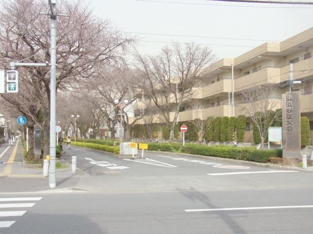 その他　学芸大学（その他）まで500m