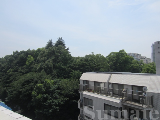 眺望　☆目の前には緑が広がっています☆
