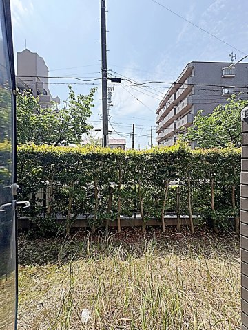 庭
