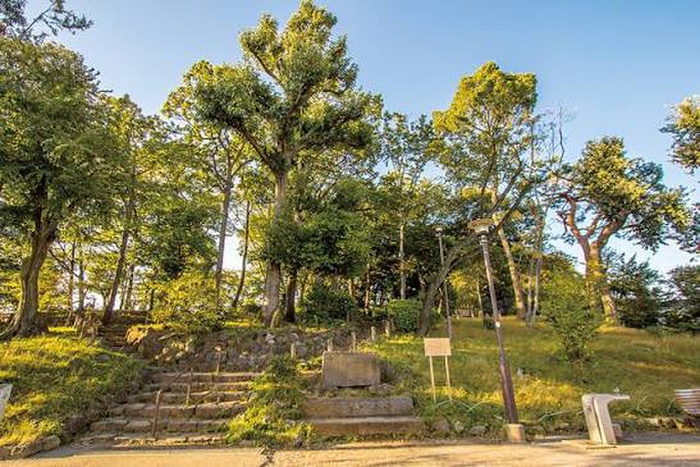 公園　世田谷城址公園（公園）まで350m