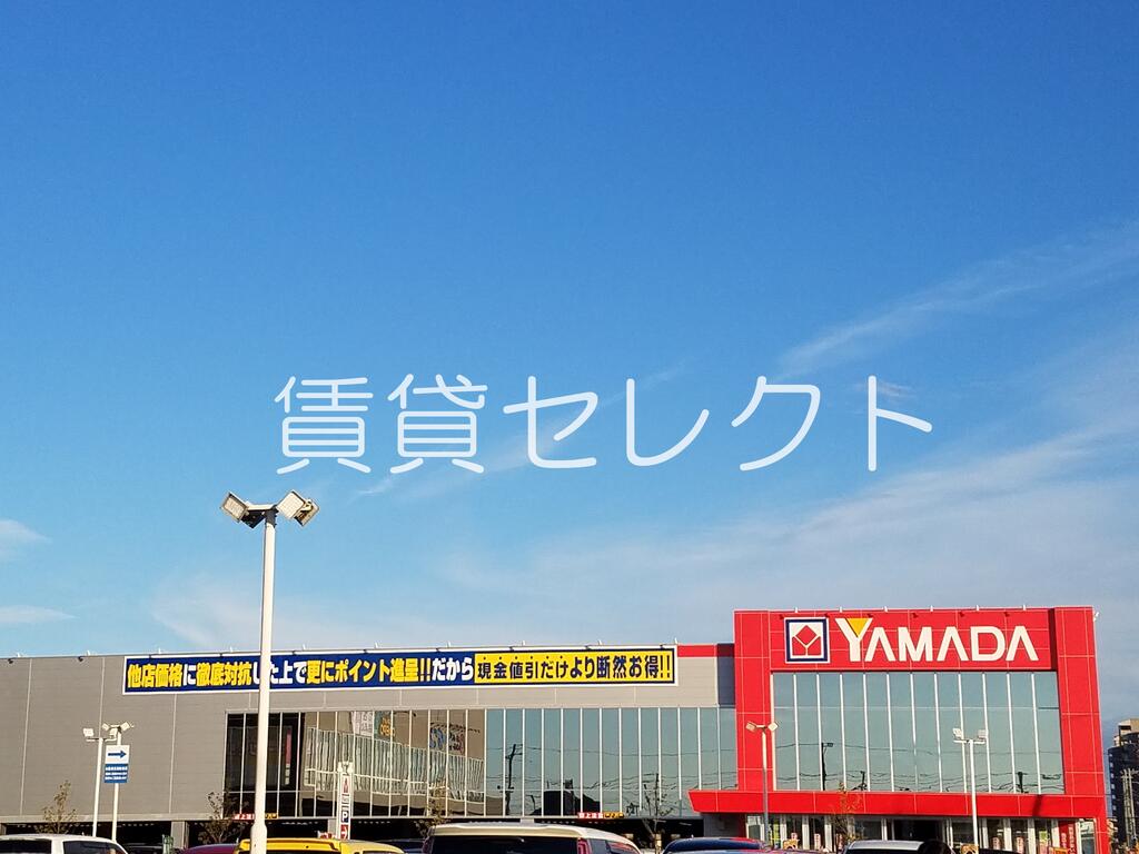 フェリシアの周辺写真