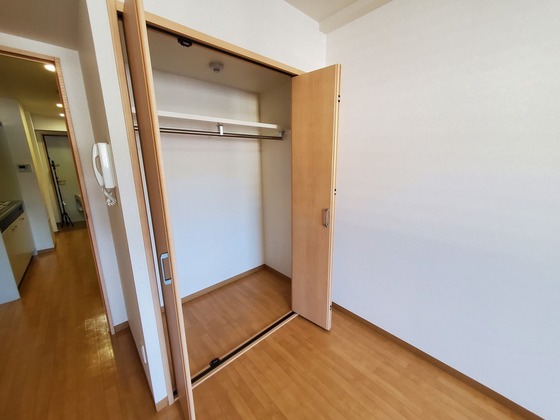 収納　※別部屋の写真です