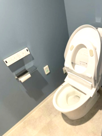 ザ・ステイツ志木幸町のトイレ写真