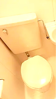 トイレ　トイレです