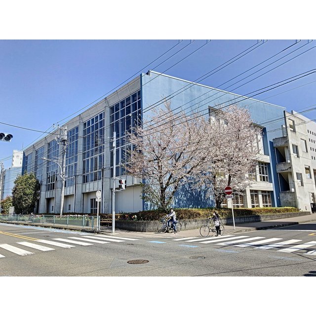 中学校　大和市立　渋谷中学校（中学校）まで1000m