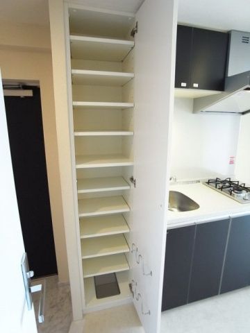 玄関　（別タイプ参考写真）スパシエエルヴィエントアース板橋タワー