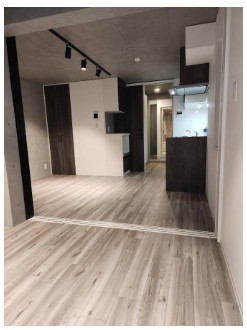 Ts Residence白金高輪の居間写真