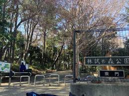公園　都立林試の森公園東門（公園）まで217m