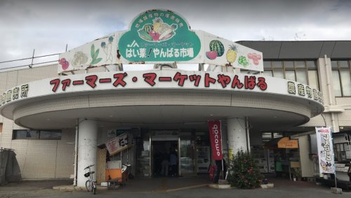 スーパー　JAおきなわ JAファ-マ-ズマ-ケットやんばる（スーパー）まで1153m
