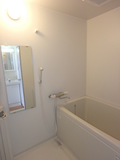 バス・シャワールーム　他号室のお写真です