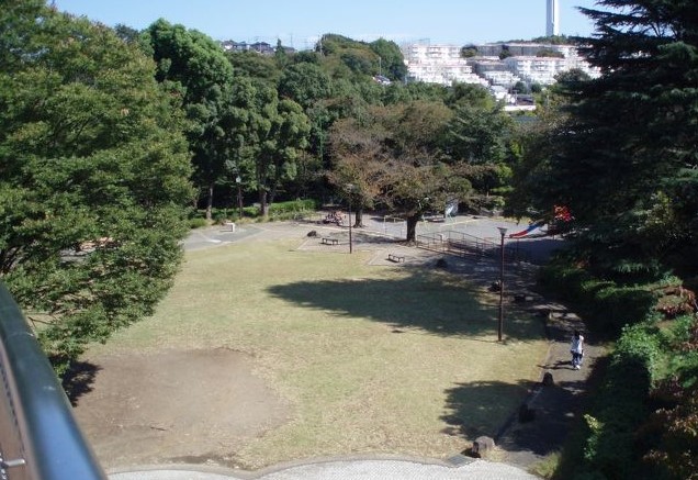 公園　白根公園（公園）まで245m