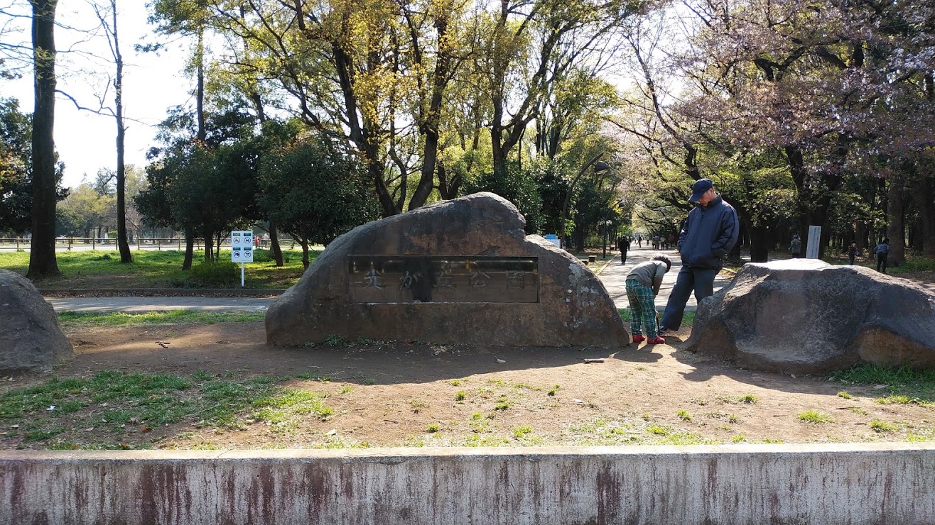 【板橋区赤塚新町のマンションの公園】