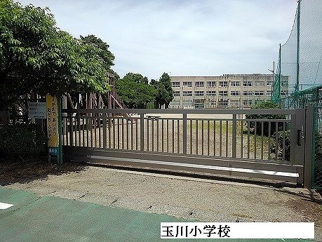 小学校　玉川小学校（小学校）まで330m