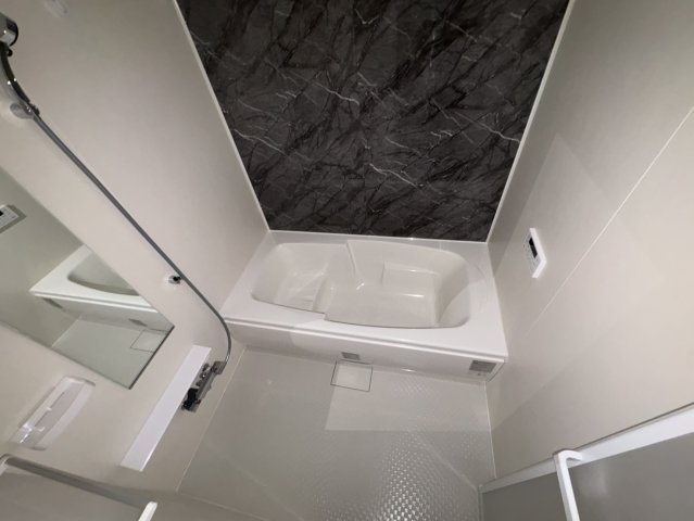 バス・シャワールーム　※同物件・同タイプの写真です。