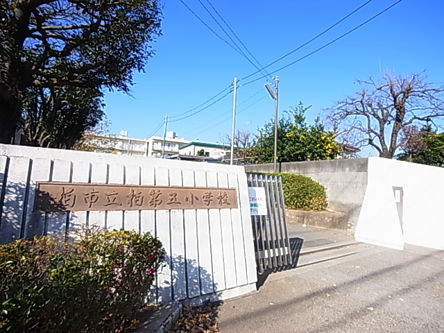 小学校　柏市立柏第五小学校（小学校）まで467m