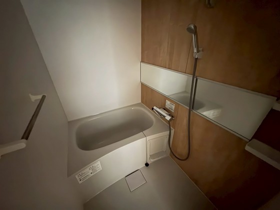 バス・シャワールーム　※別部屋の写真です