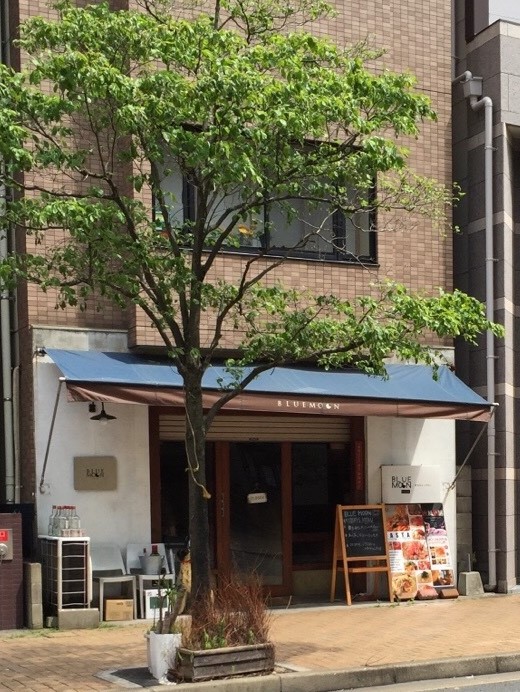 その他　【ブルームーンダイニング】（その他）まで429m