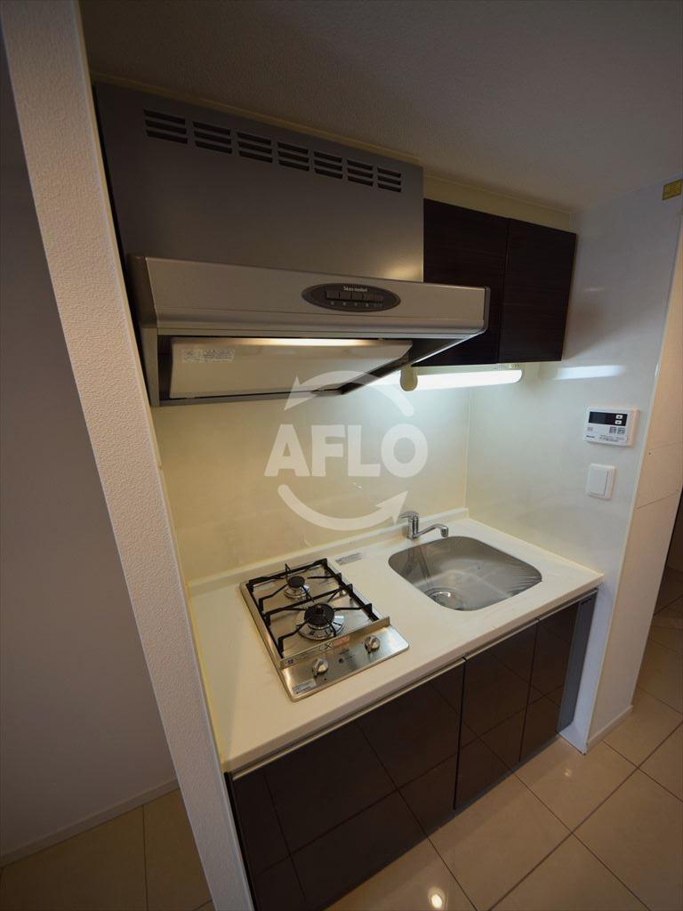 キッチン　レジュールアッシュ難波リュクス　２口ガスシステムキッチン