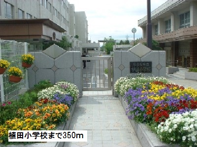 小学校　植田小学校（小学校）まで350m