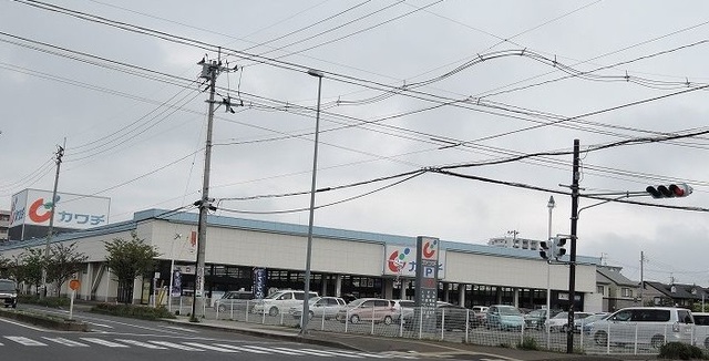 ドラックストア　カワチ薬品仙台東店（ドラッグストア）まで850m