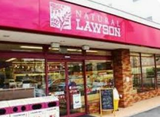 コンビニ　ナチュラルローソン芝浦アイランドケープ店（コンビニ）まで317m