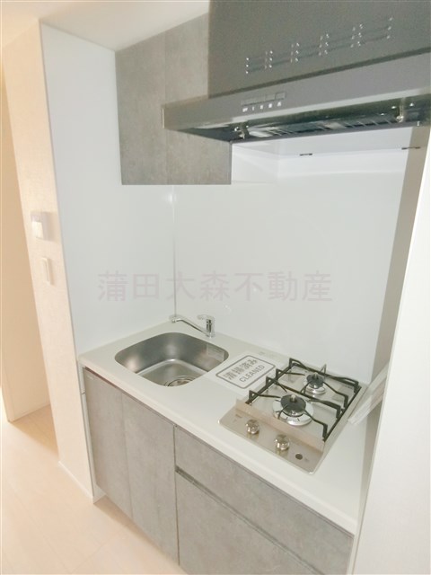 キッチン　2口ガスシステムキッチン