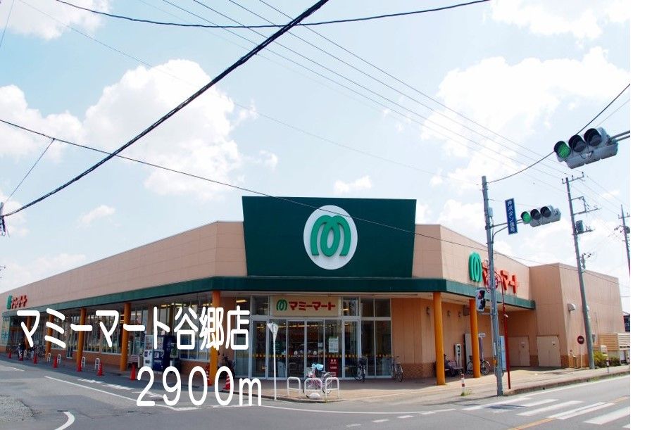 スーパー　マミーマート谷郷店（スーパー）まで2900m