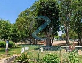 公園　区立篠崎六丁目第2広場（公園）まで650m