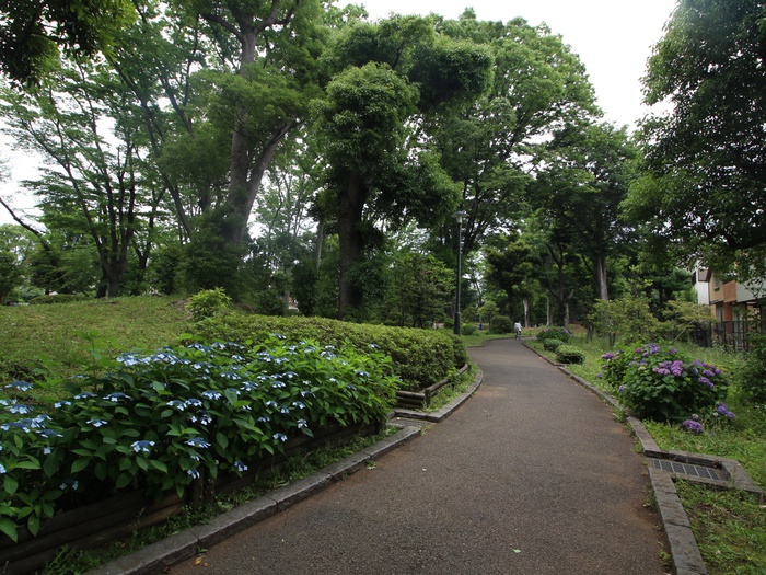 公園　駒沢緑泉公園（公園）まで495m