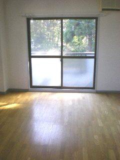 居室・リビング　洋室です