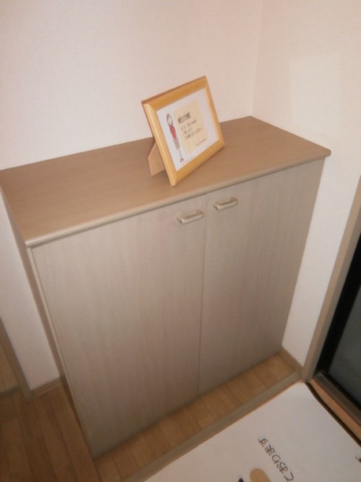 玄関　※別号室の写真です。