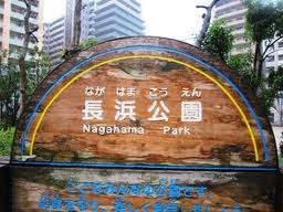 公園　長浜公園（公園）まで50m