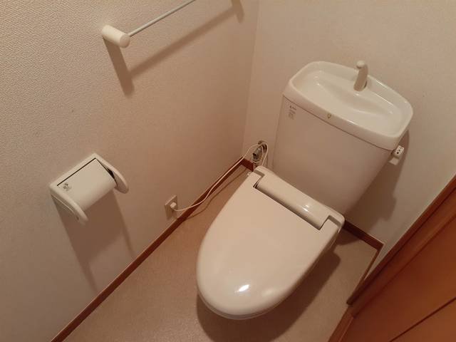 トイレ　トイレも気になるポイント