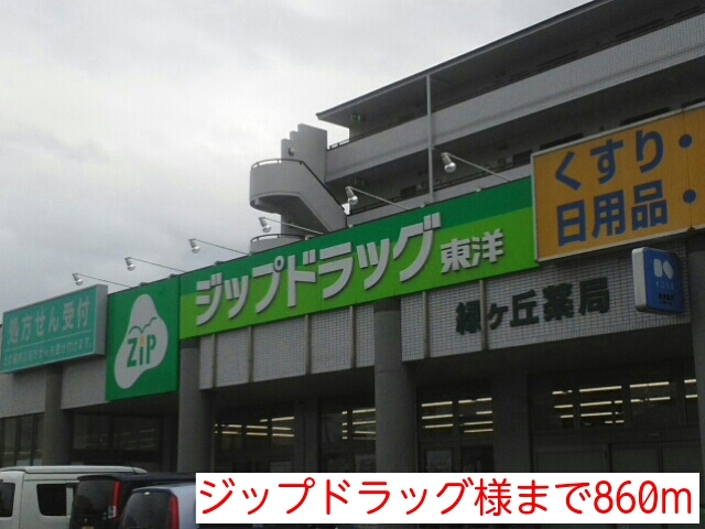 その他　ジップドラッグ様（その他）まで860m