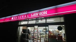 コンビニ　ナチュラルローソン NL芝五丁目店（コンビニ）まで3m