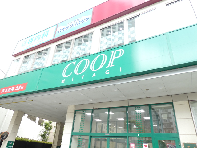 スーパー　みやぎ生協　新寺店（スーパー）まで1100m
