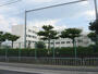 中学校　高槻市立城南中学校（中学校）まで274m