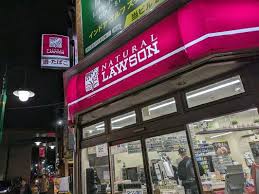 コンビニ　ナチュラルローソン上野毛一丁目店（コンビニ）まで108m